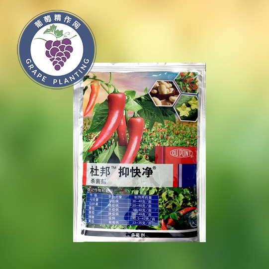 杜邦 抑快净 恶唑菌酮霜脲氰 黄瓜霜霉病番茄疫病杀菌剂25-100克