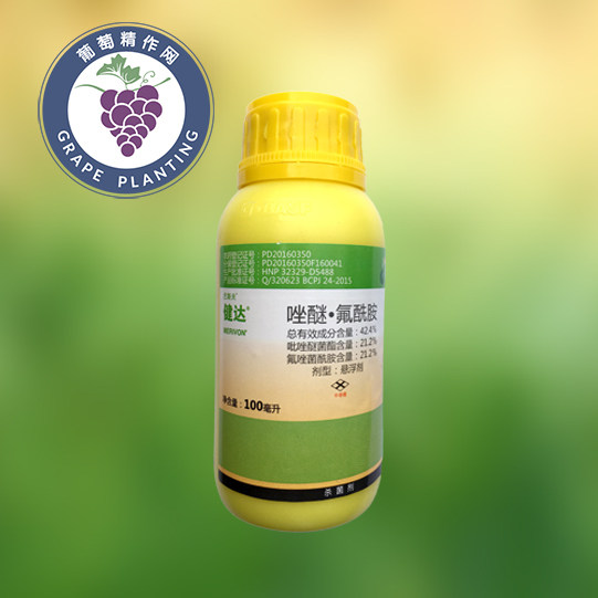 巴斯夫健达 吡唑醚菌酯氟唑菌酰胺 白粉病炭疽灰霉病杀菌剂100ml