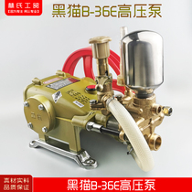 Suzhou Black cat B-36E high pressure cleaning machine hit pesticide pump spray pump brush car machine high pressure pump all copper