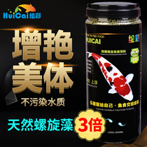 Painted koi fish feed fish food is not muddy water color Yang spirulina color increase body butterfly carp goldfish special fish food