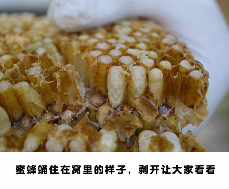 2018蜜蜂蛹雄蜂蛹新鲜活体冷冻农家纯天然油炸野生蜜蜂蛹幼虫500g_7折