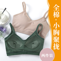 Underwear schoolgirl high school girl high school girl without steel ring merry-back harness vest to gather bra thin-smeared breast wrap