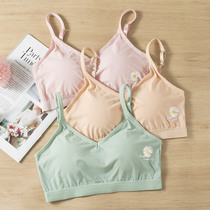 Beauty back net red Breasted Underwear Female Ice Wire Harness Vest Student Teenage Girl Hit Bottom Inner Lap Wrap Breast No Steel Ring Bra