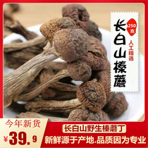 North East Changbaishan Mountain Jane Hazel mushroom mushroom thickness special 500g fresh sun
