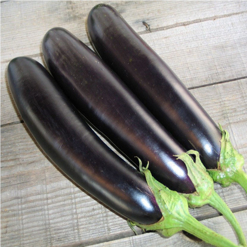 紫黑长茄种子高产长茄子蔬菜种子阳台庭院盆栽四季易种瓜果籽