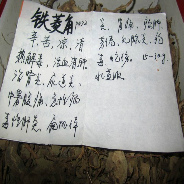 寿宁特产纯天然野生铁菱角 拳头 四角茶 溪荷 特价500克