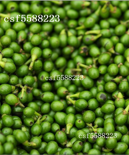 寿宁特产野生山苍子 山香椒 山香豆豉 姜木姜子 荜澄茄250克新货