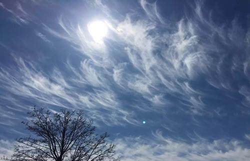 毛卷云的外形很像飞絮和羽毛,轻薄,孤立,当天空出现丝丝毛卷云的时候