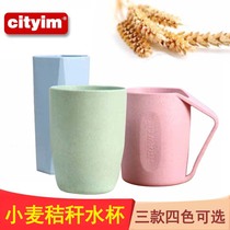 Brushing mouthwash Cup home simple family set wheat straw environmental mouthwash Cup couple female dormitory men