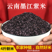4 Jin Mojiang purple rice purple glutinous rice authentic Yunnan specialty purple rice rice farmhouse new rice old variety blood glutinous rice