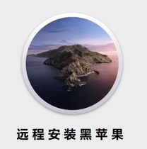 Remote installation of Black Apple system Big Sur 10 15 APFS support AMD INTEL