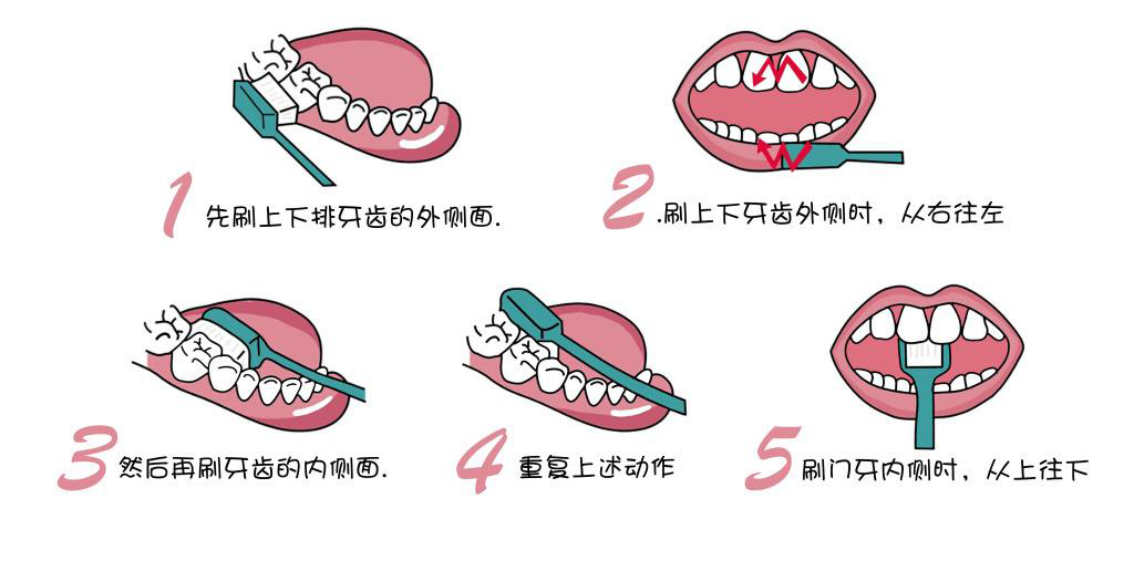 除了正确的刷牙方式外,护牙用品的选择也很重要.