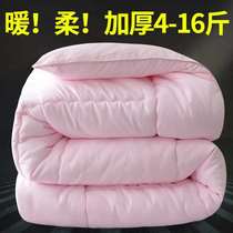 10kg 12kg winter is thickened and warm cotton quilt core space is winter single double Spring Spring and Autumn quilt