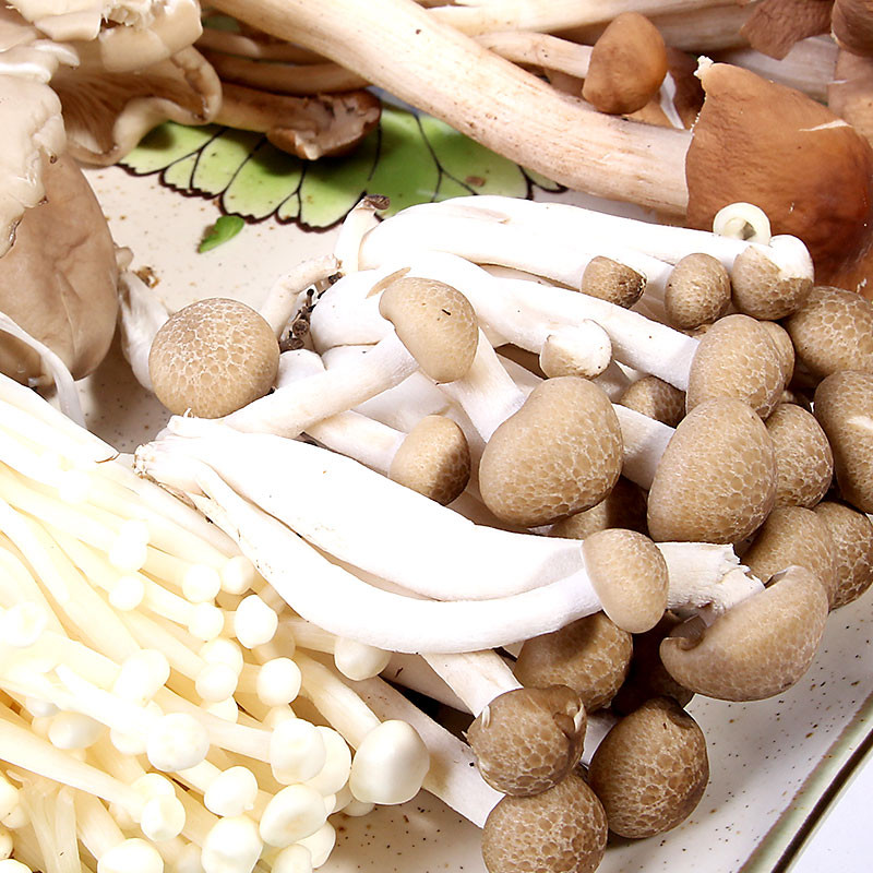 selected 4 in 1 mushrooms 300g