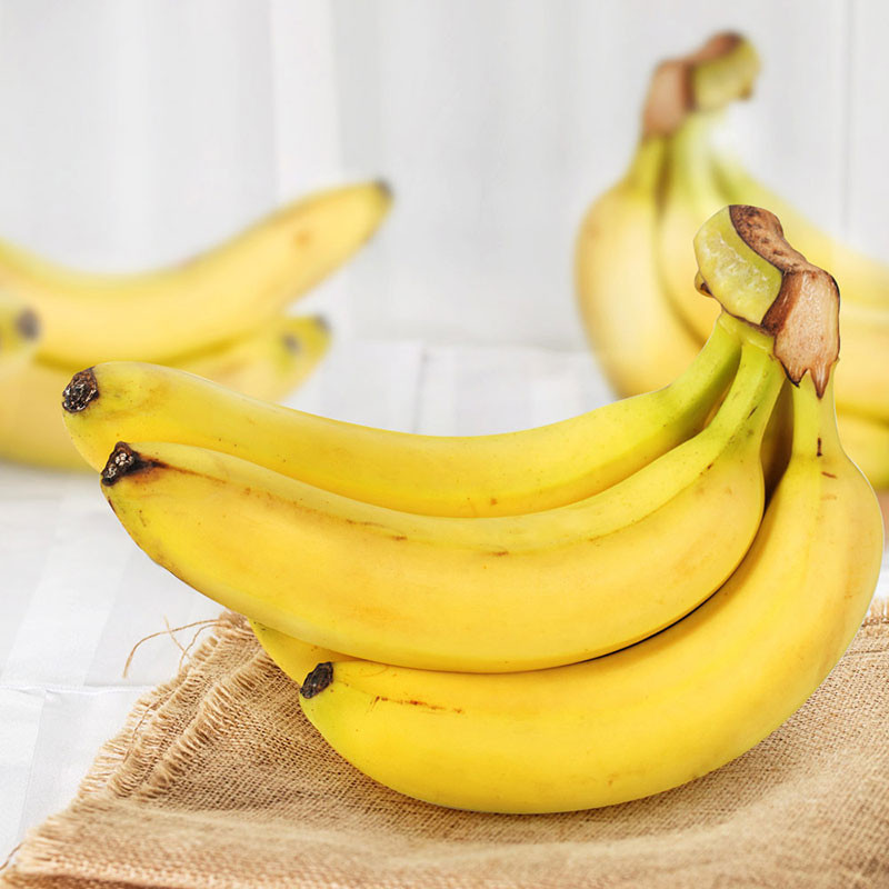 imported banana 500-600g/box