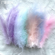 Factory direct sales DIY handmade feather pointed tail velvet Turkey feather gift box Bobo ball filling decorative materials