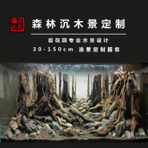 Grass tank landscaping Landscaping package Landscaping Qinglong Stone Shenmu Back garden Aquarium Rainforest landscape customization