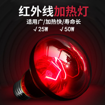 Reptile heating lamp thermal heating lamp infrared heating bubble turtle lizard snake crawling pet all-weather night light day lamp
