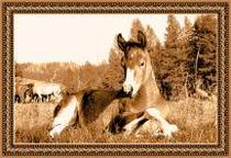 Mongolian Ulaanbaatar tapestry 1m x 2m