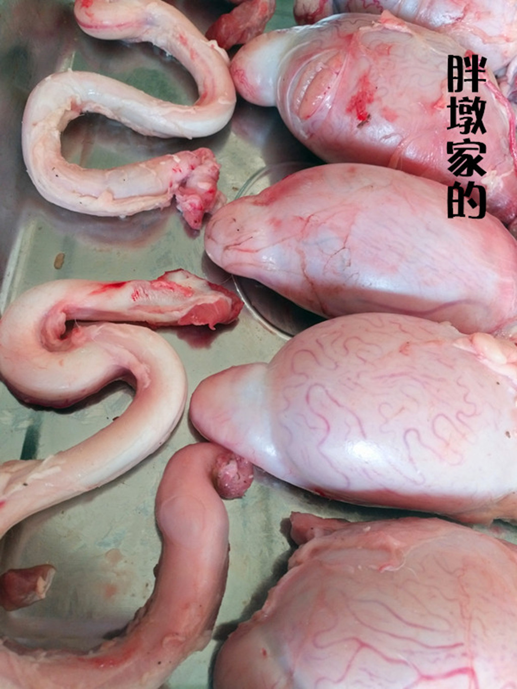 散养清真 新鲜羊宝 生羊肉 羊睾丸 羊球羊蛋 羊肾羊内腰顺丰包邮