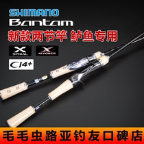 SHIMANO 19 models BANTAM long shot gun handle straight handle rod Bang Tom single section Luya rod upturned rod