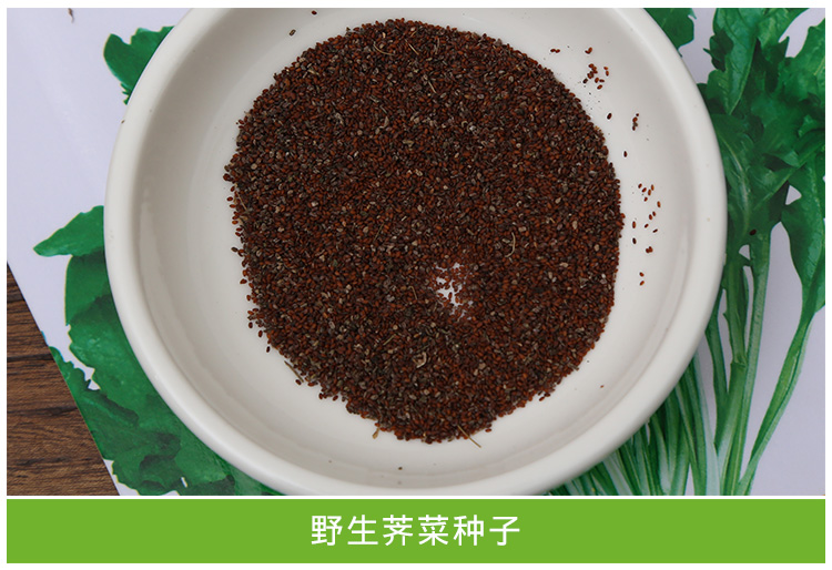 荠菜种子 野生荠菜野菜种子 种籽蔬菜种子 阳台种菜 苦菜子 苋菜_双氙