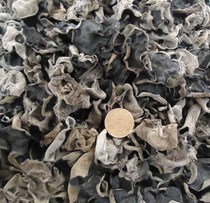 Northeast Super autumn fungus bulk 250 grams and half a catties of meat thick Heilongjiang Jixi black fungus base