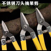 Stainless steel cutter head fruit shears new fruit shears citrus shears fruits and vegetables shears medium fruit scissors round head fruit shears