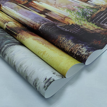 Customized decoration painting ultra-wide cotton fiber canvas printed poster art printed and written without frame picture