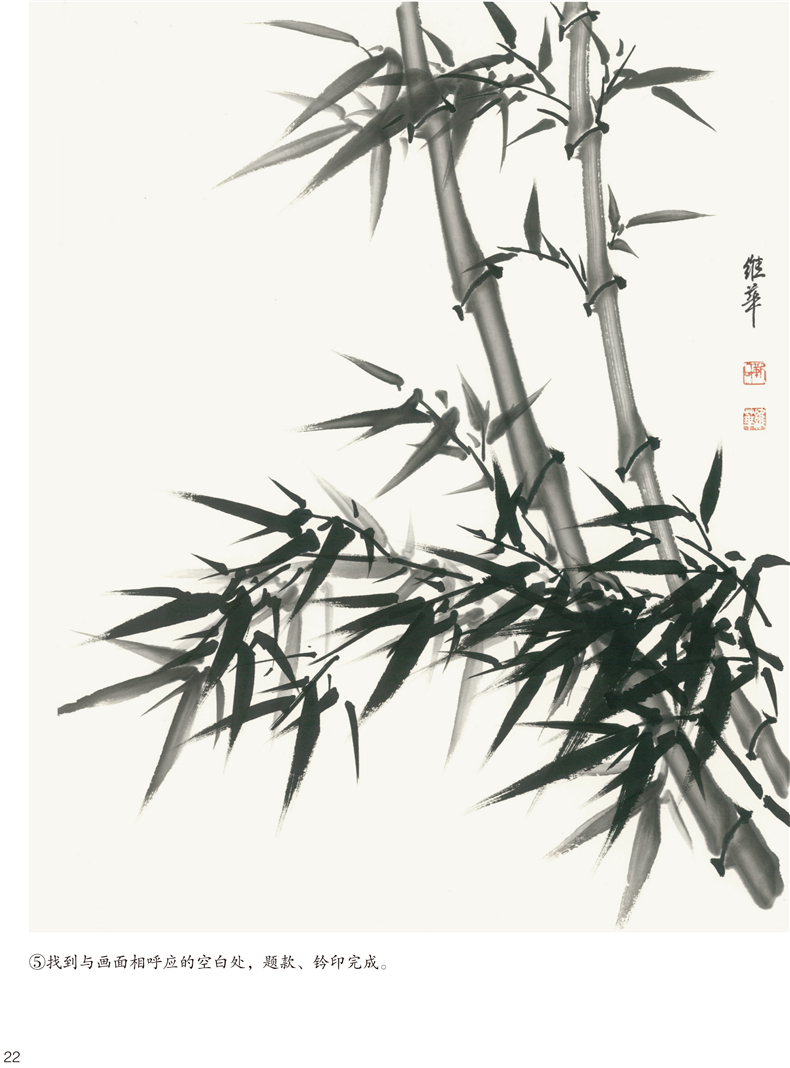 正版彩图 写意竹子 中国写意画规范教程 国画基础教程步骤解析欣赏图片