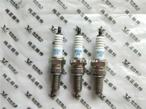 Zongshen Huayang Bozole W190 off-road vehicle original engine NGK Spark Plug