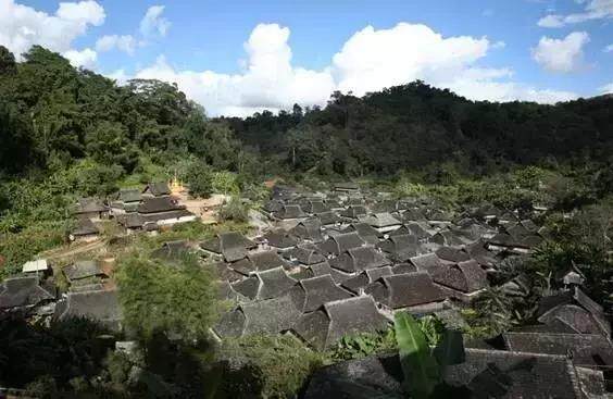 云南孟勐县天气预报