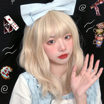 Wool roll wig womens long hair natural full head sleeve Korean Golden short curly hair collarbone hair age reduction hair cover