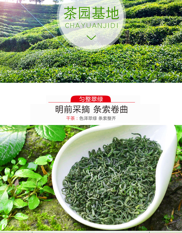 黄山新绿茶50g*1罐