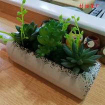 Hot-selling multi-meat potted living room office ornaments dining table jewelry fake flower small ornaments simulation multi-meat green plants