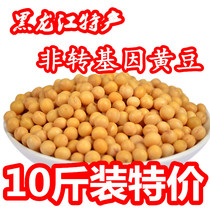 New Northeast Soybeans Heilongjiang Farmers Self-produced Stupid Soybean Milk Raw Bean Sprouts Non-GMO Soybeans 10 Jin