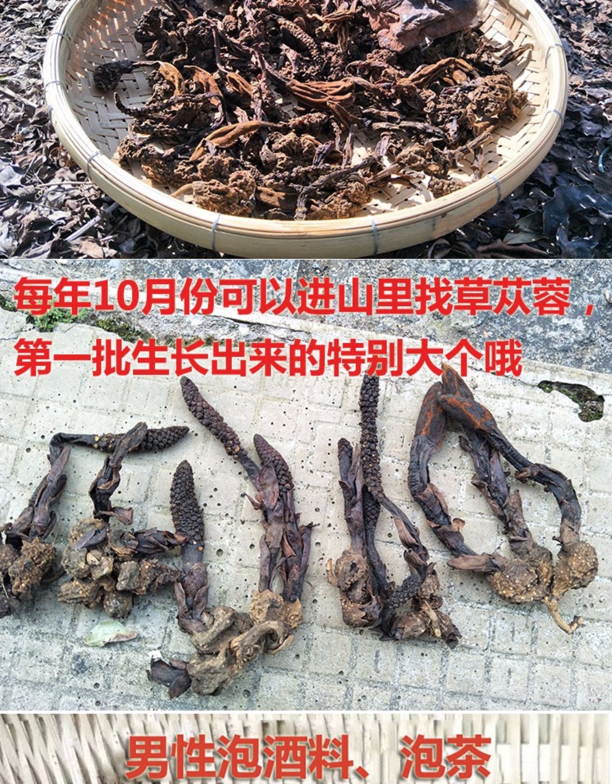 放心好店草苁蓉250g广西大瑶山顶天柱泡酒料