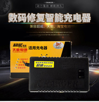 For bird electric car battery charger 36V 48V 60V 64V 72V 80V 12 20 30AH