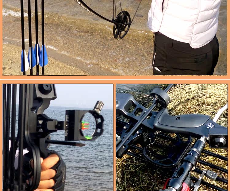 军兴狩猎复合滑轮弓箭传统比赛射箭竞技射击鱼运动器材直拉反曲弓_7折