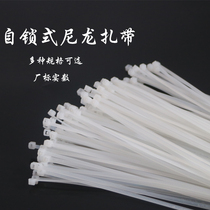 Self-locked nylon strap plastic fixing zahline electrified wire strapping harness with white factory mark