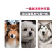 Huangheng Race-grade Beauty Hair Seaweed Tablets Dog Health Products Beauty Hair Skin Care Bullfighting Anti-hair Removal Pet Nutrition Huangheng Race-grade Beauty Hair Seaweed Tablets Dog Health Products Beauty Hair Skin Care Bullfighting Anti-hair Removal Pet Nutrition