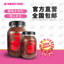 An inch of Gold Blood parrot red color enhancement feed red parrot fish tropical fish ornamental fish rich map fish fish food