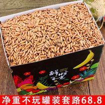 New Brazilian pine nuts 2021 fresh hand peeling open pine nuts long pregnant women super large imported 500g large particles