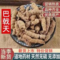 Yunyong Hall Trident Day 250g paired with lock yang cistanche sheet Cortex Eucommiae male Bubble Wine