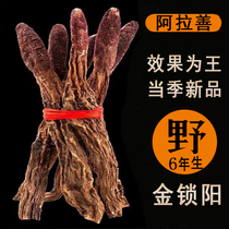 Golden Lock Yang Sheet 250g ½ Jin Lock Yang Slice Inner Mongolia Allah Good Wine Material Non Wild Raw Gold Lock Yang Slice