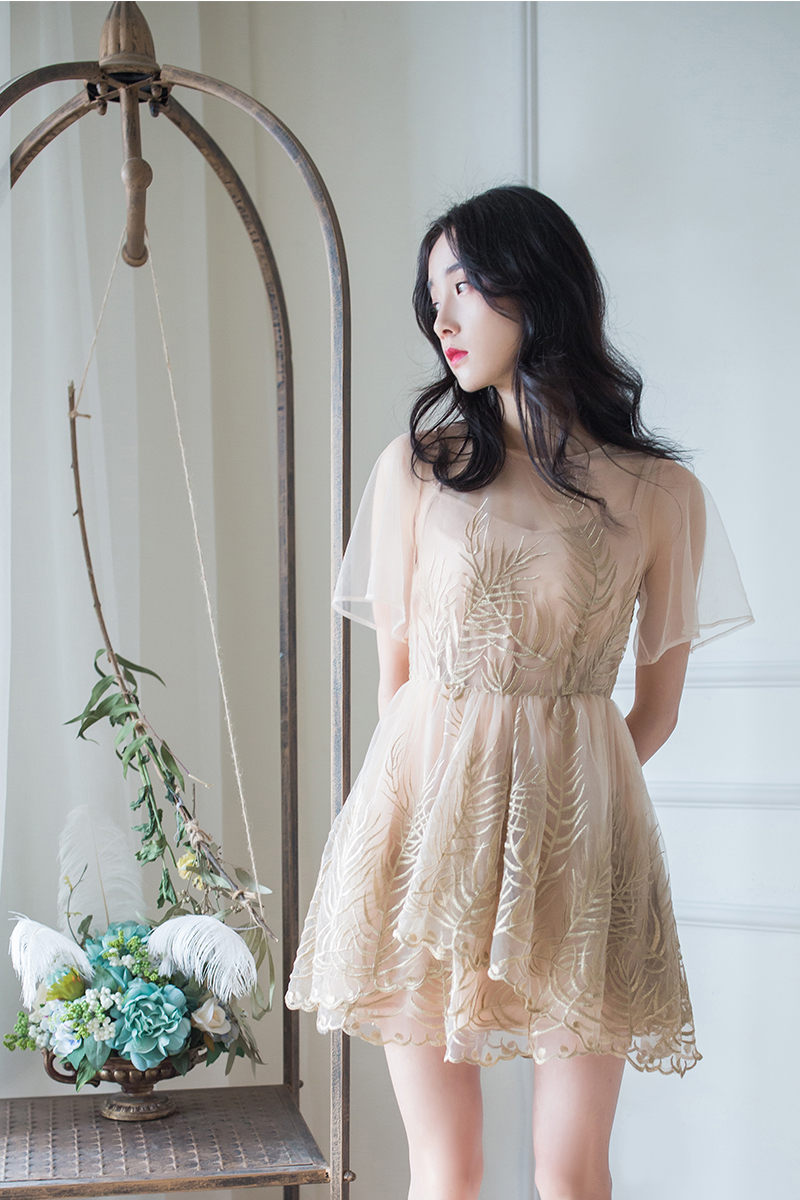 想赶时髦,赶紧收一件网纱半透明裙!