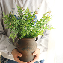 Xiaochunze simulation fern leaf plant green plant simulation flower arrangement big feather fern leaf tree hippocampus grass decorative ornaments