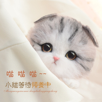 Qianying wool felt poke music material bag set Cat gift handmade DIY bag brooch simulation small milk cat