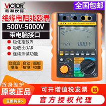 Victory Instrument Digital Insulation Resistance Tester VC3125 High Voltage Megameter 5000V 2500V Original