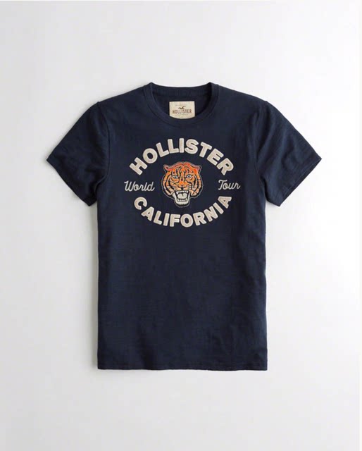 Hollister men's 2020 summer new short-sleeved t-shirt cotton short-sleeve shirt HCO seagull shirt tide Hollister men's 2020 summer new short-sleeved t-shirt cotton short-sleeve shirt HCO seagull shirt tide